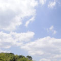 20090628(sky)