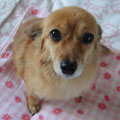 20090628(mimi)