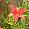 20090701(��)