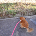 20100103(mimi)