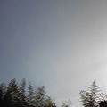 20100302(sky)