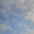 20100305(sky)