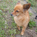 20100307(mimi)