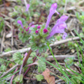 20100307(ʩ�κ�)
