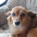 20100412(mimi)