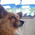 20100501(mimi)