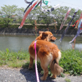 20100502(mimi)