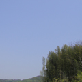 20100503(sky)