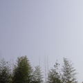 20100504(sky)
