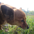 20100504(mimi)
