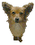 mimi